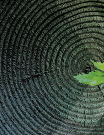 What Are Non-Listed CEFs?